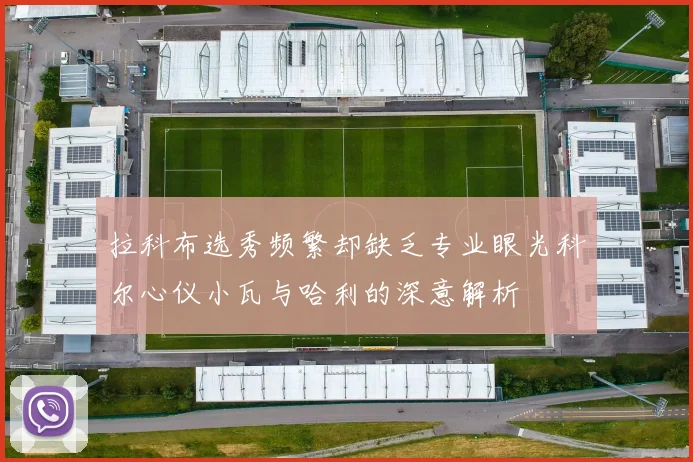 拉科布选秀频繁却缺乏专业眼光科尔心仪小瓦与哈利的深意解析